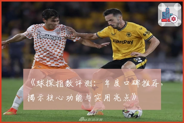 《球探指数评测：年度口碑推荐，揭示核心功能与实用亮点》