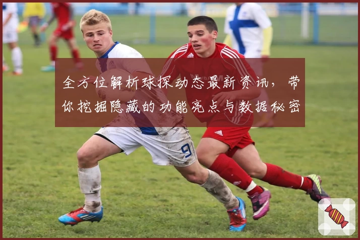 全方位解析球探动态最新资讯，带你挖掘隐藏的功能亮点与数据秘密