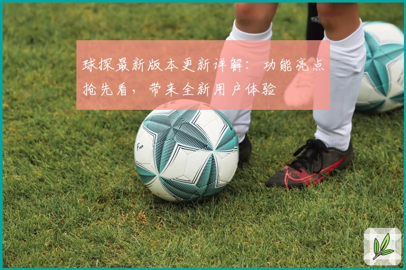 球探最新版本更新详解：功能亮点抢先看，带来全新用户体验