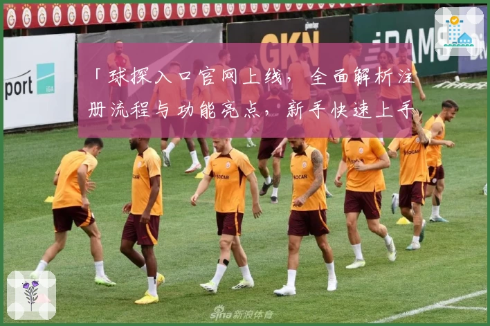 「球探入口官网上线，全面解析注册流程与功能亮点，新手快速上手指南」