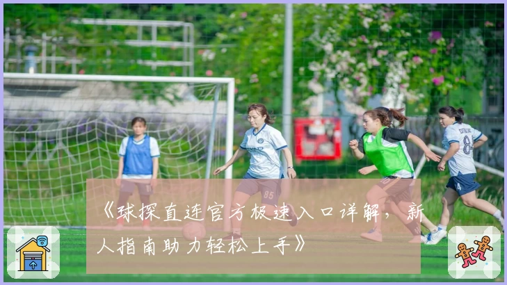 《球探直连官方极速入口详解,新人指南助力轻松上手》