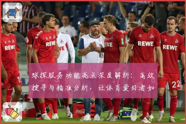 球探服务功能亮点深度解析：高效搜寻与精准分析，让体育爱好者如虎添翼